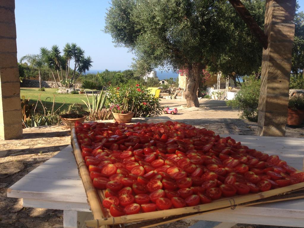 Contrada Borgin Bed & Breakfast Marina Di Pescoluse Exterior photo